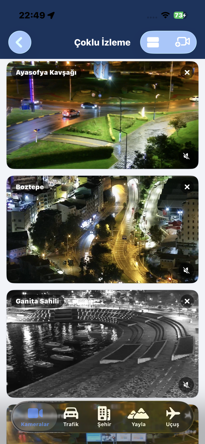 Çoklu izleme ekranı